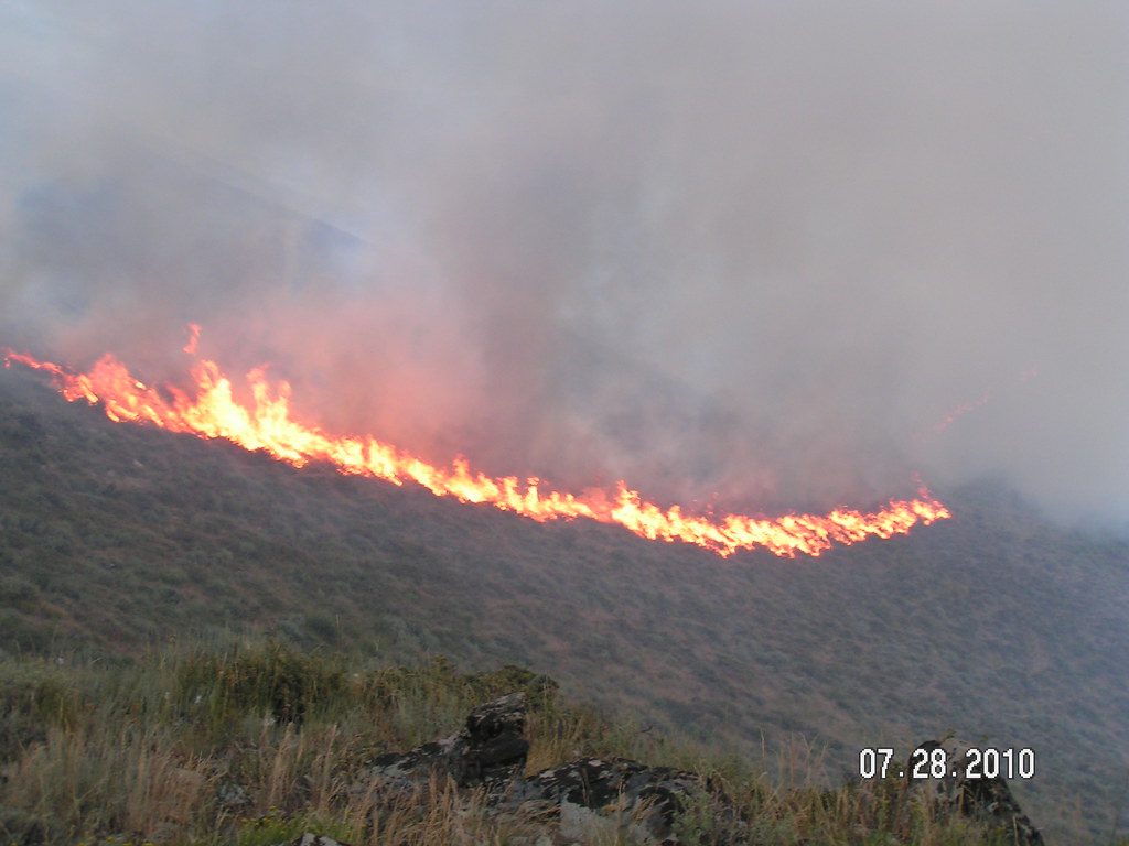 Polygon burns 100 million POL, about 1% of total supply