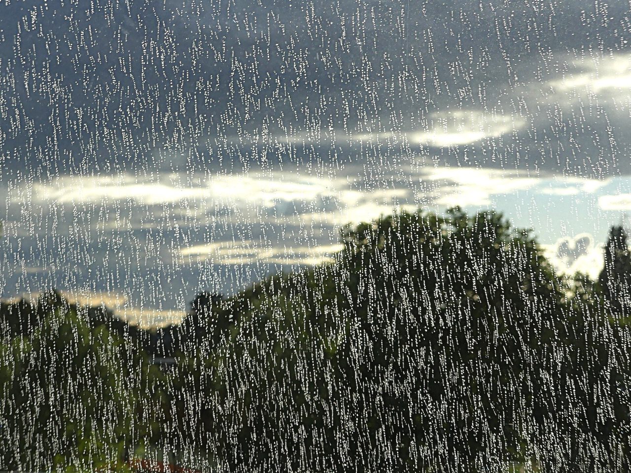 Rain Crypto (RAIN): What It Is, Price in INR and Risks